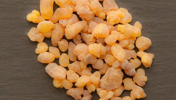 Benzoin 10 ml