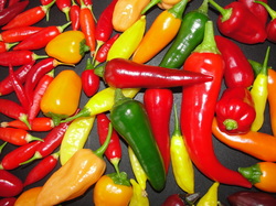 Chilifrø 10 ml