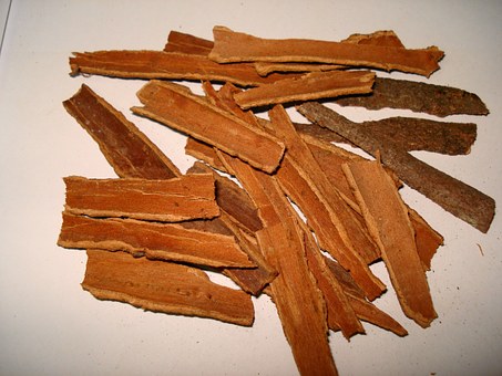 Kanel Cassia USA