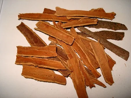 Kanel Cassia USA